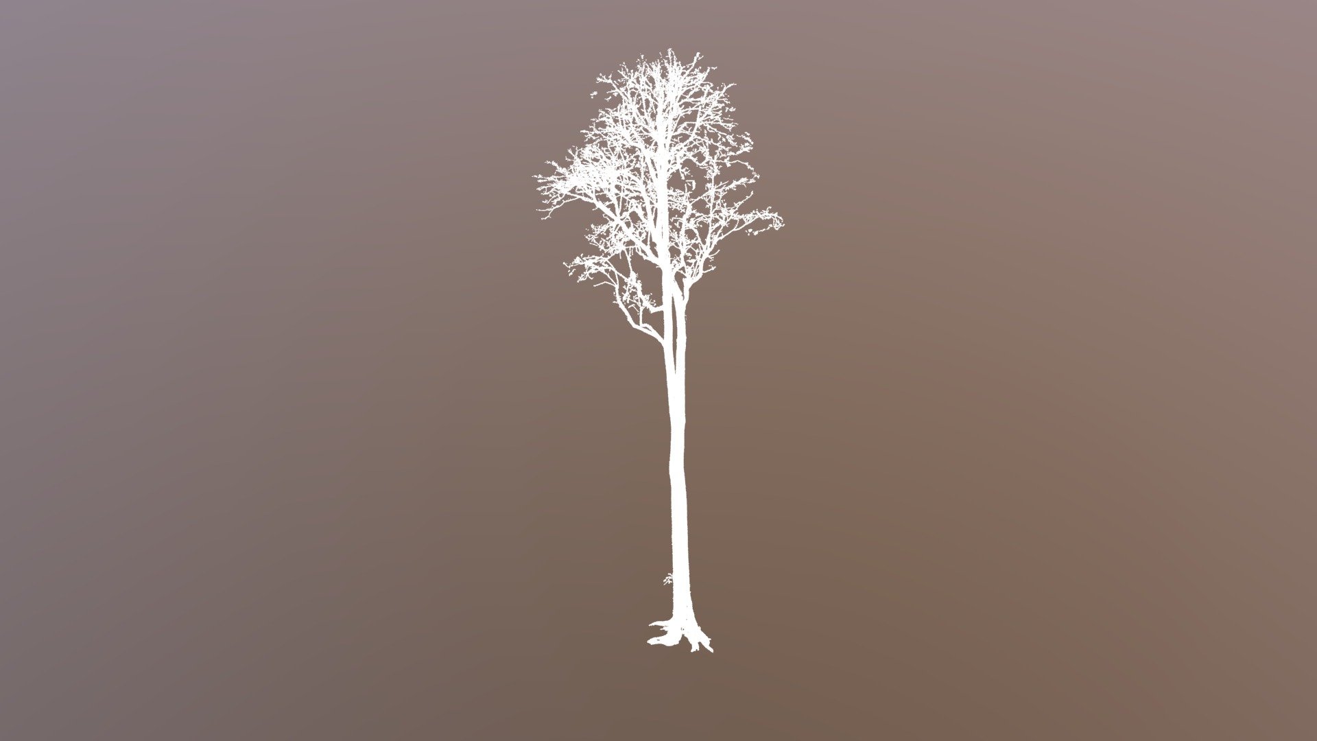 AEP33-tree_95.wood.ply