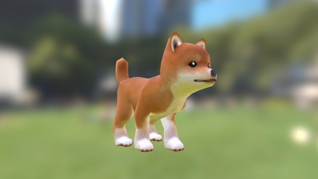 Shiba-inu Puppy 3D Model