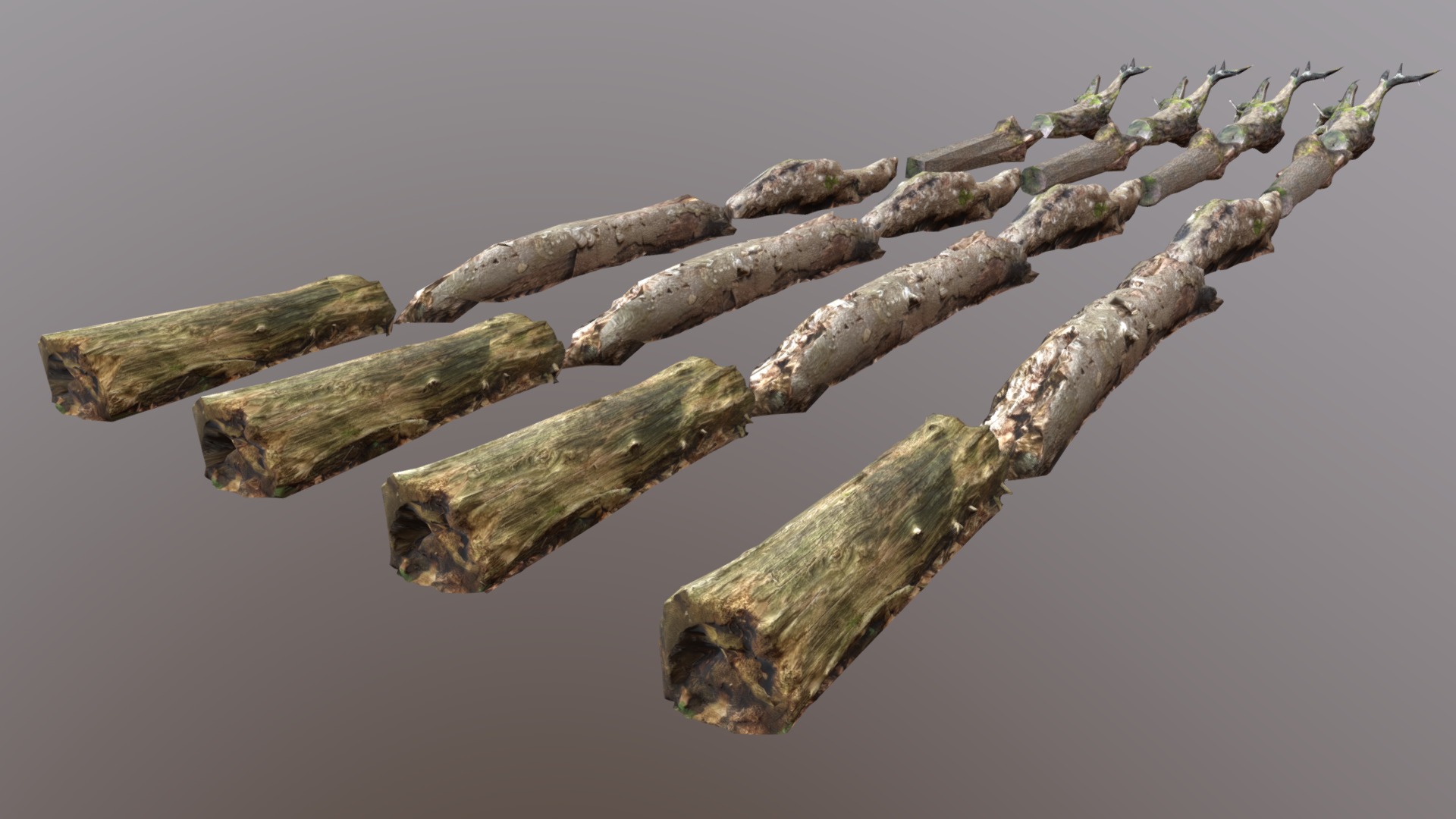 3D model Trunks & Logs Pack - This is a 3D model of the Trunks & Logs Pack. The 3D model is about a close-up of some branches.