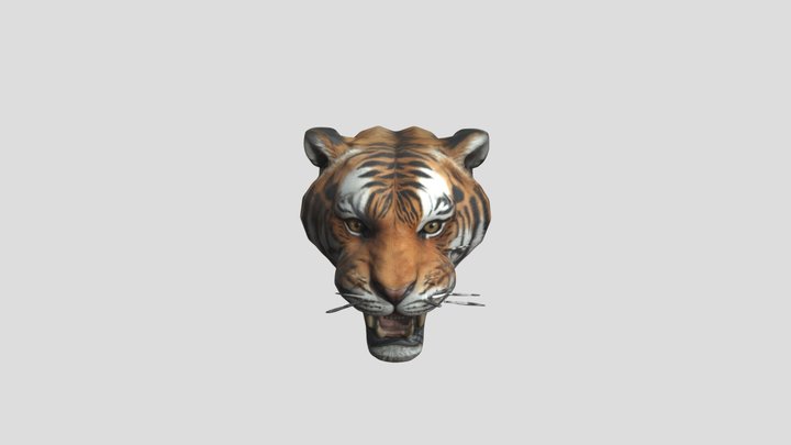 tiger head close up, 3D Model