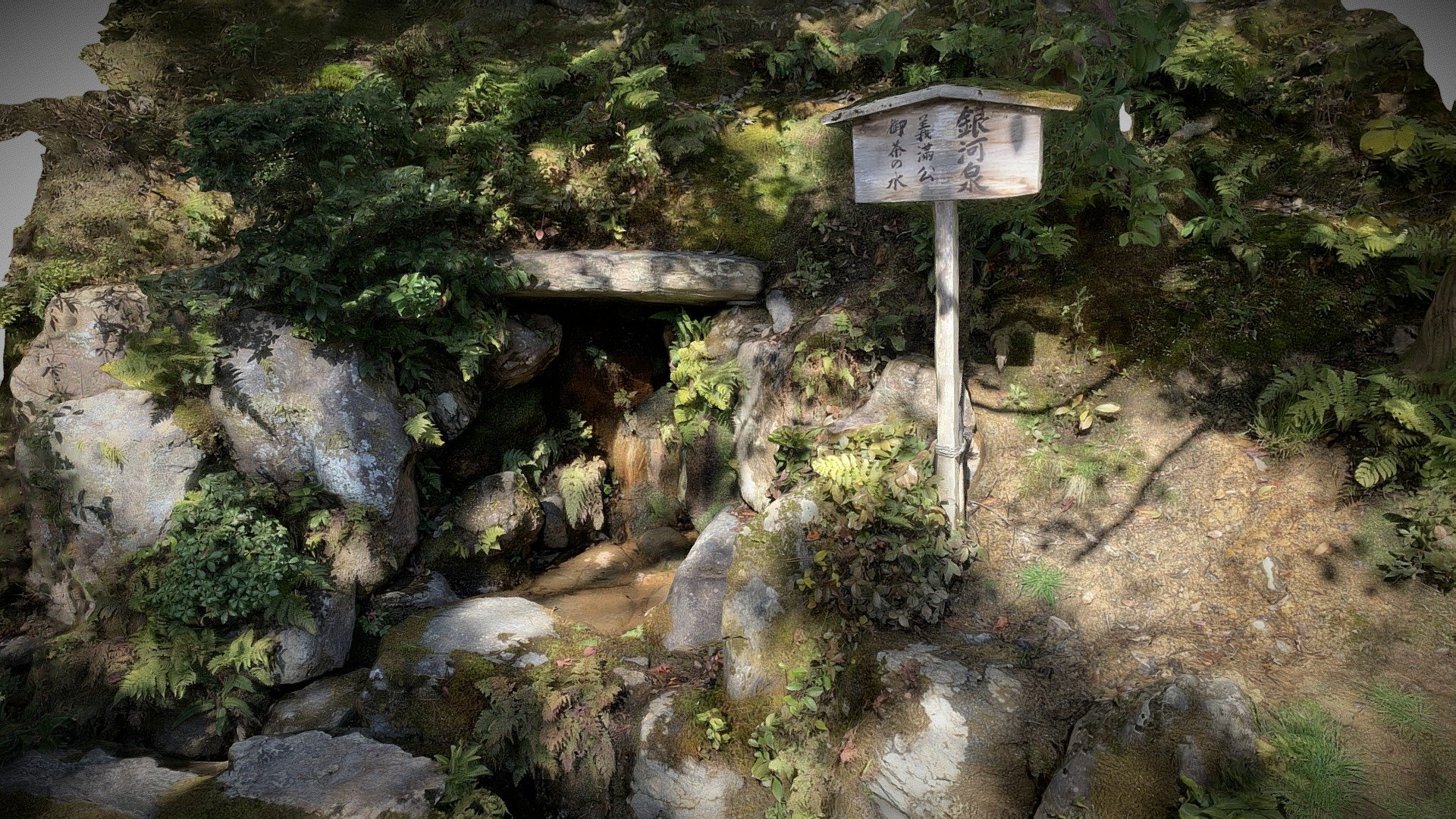 Spring in Kinkakuji garden