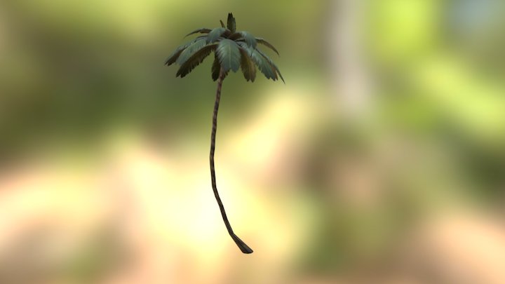 Coconut Tree 3D Model