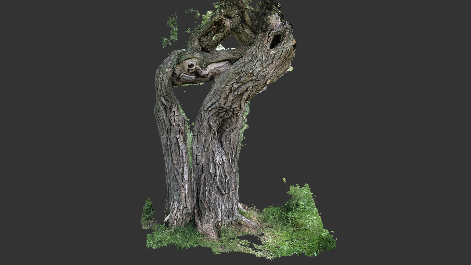 3D model Tree - This is a 3D model of the Tree. The 3D model is about a tree with a face carved into it.