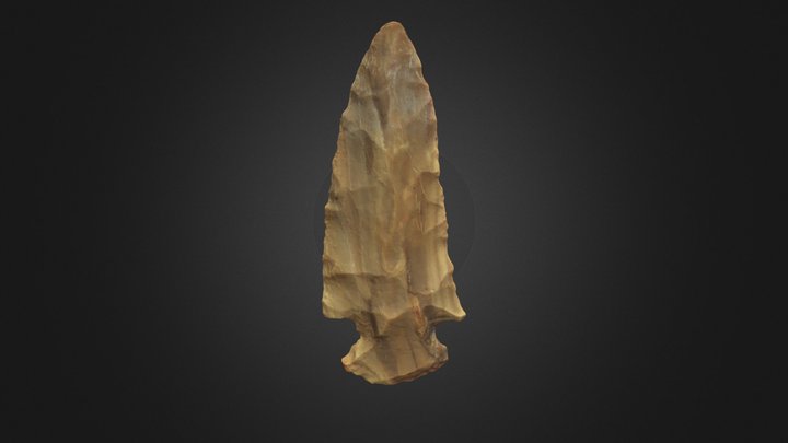 Williams Lithic Point 3D Model