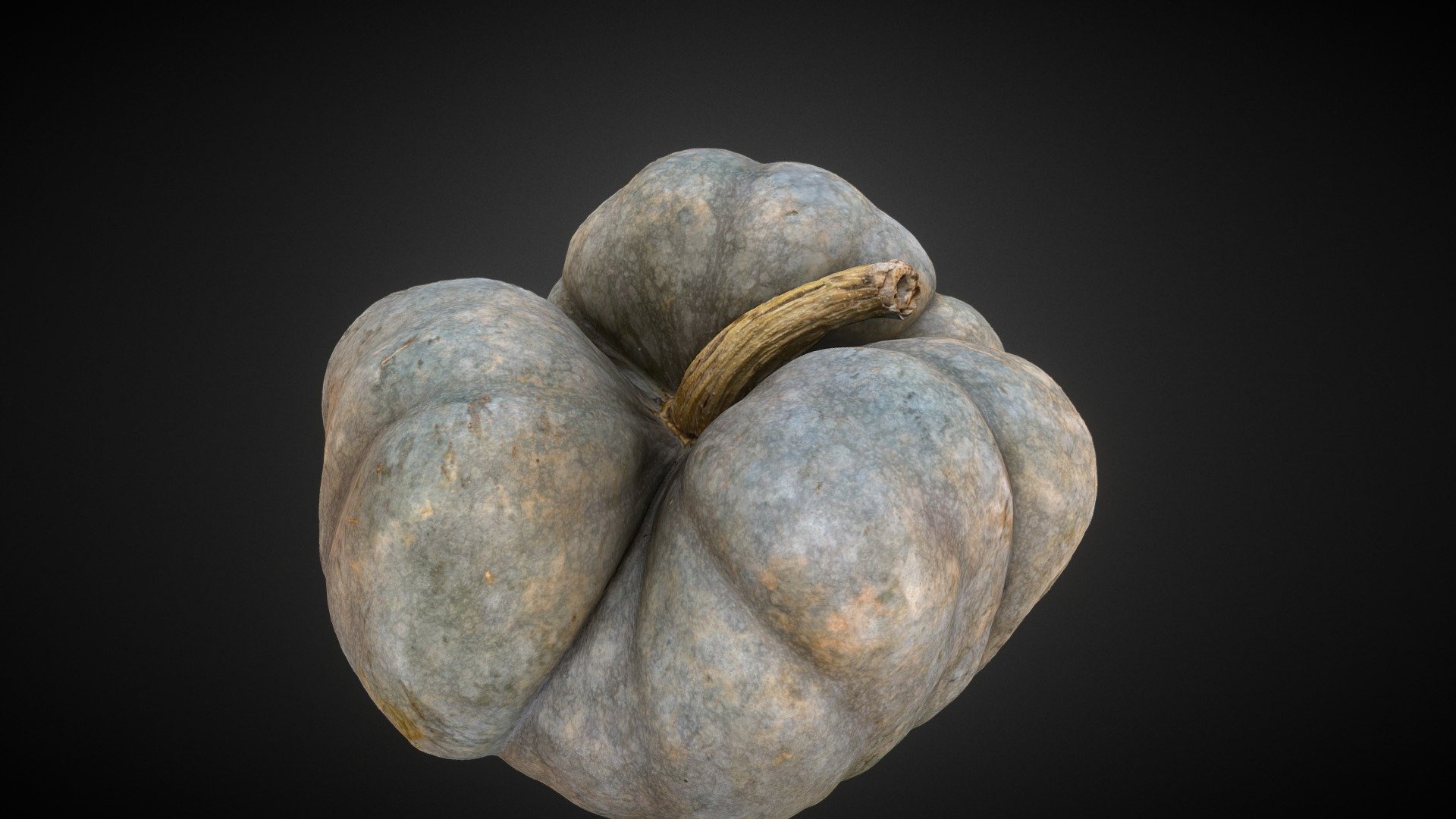 Blue (Triamble/Shamrock) Pumpkin