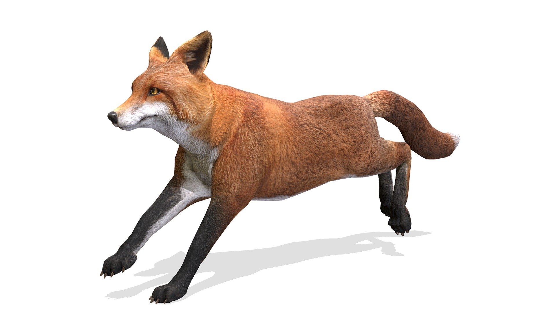 KBC 3 vjltkm. Low Poly Fox. Sketchfab модели. Fox 3d model Japanese. Red fox 3