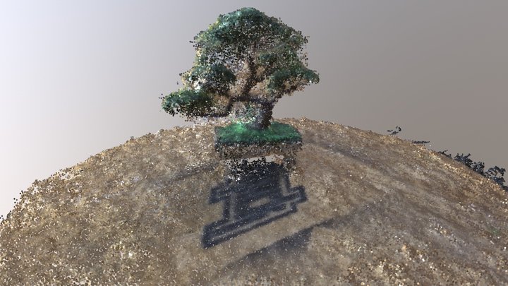 Tree full 3D Model