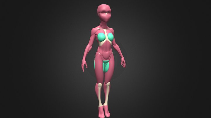 Referencias Musculares y Esqueleticas SketchFab 3D Model
