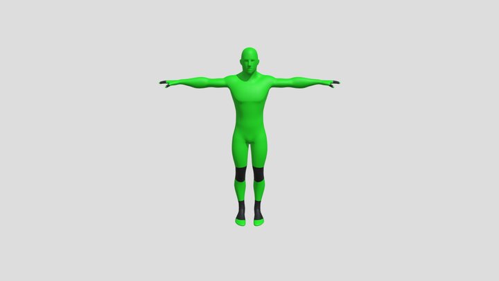 Rig Humano 3D Model