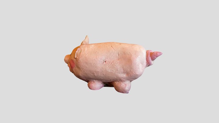 pig small 3D Model