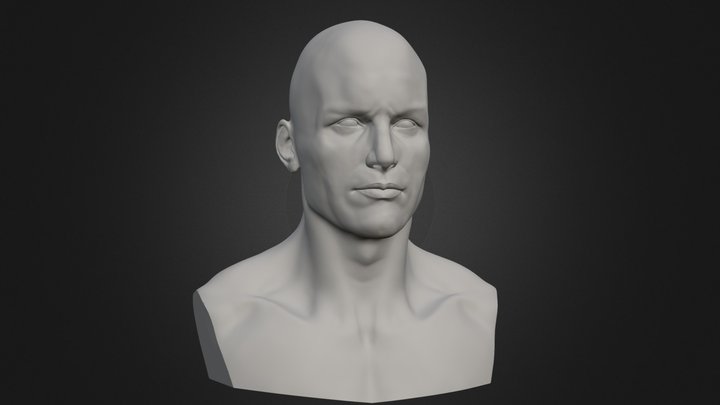 Anatomy Study - Male Head 3D Model