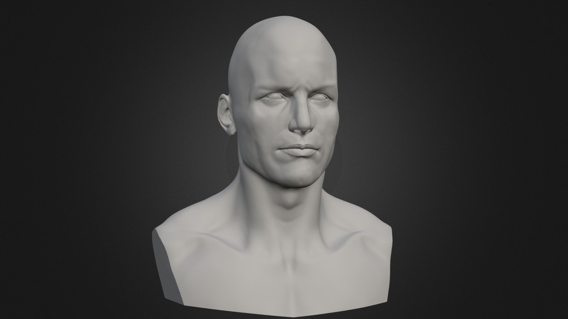 Anatomy Study - Male Head