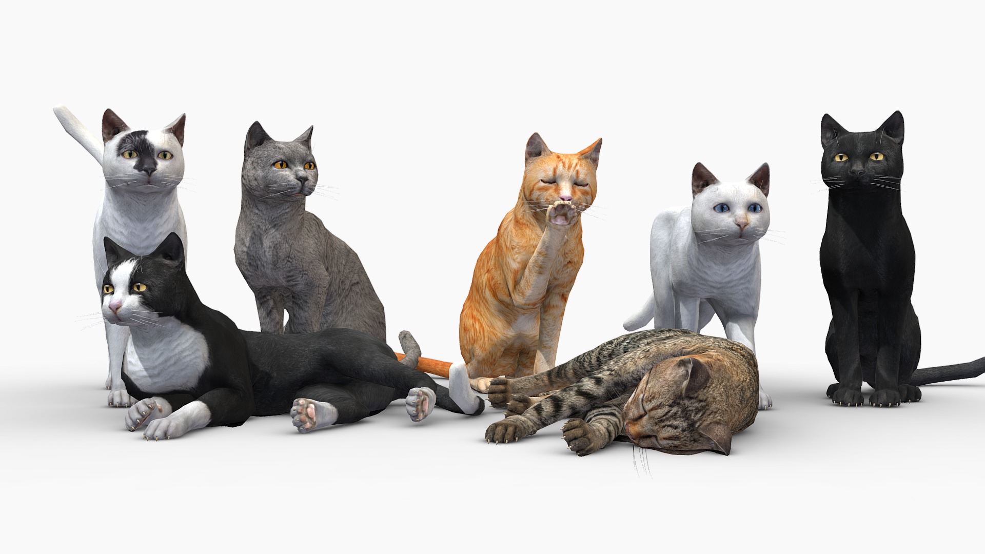 3D model Cats pack - This is a 3D model of the Cats pack. The 3D model is about a group of cats.