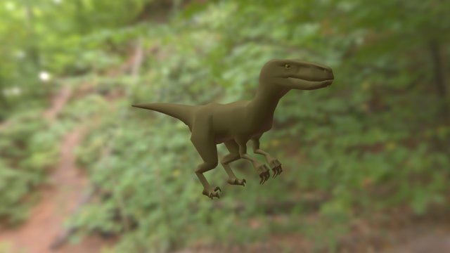 Raptor 3D Model