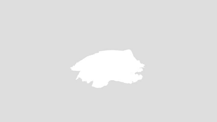 Tree Root Photoscan – Free 3D Model STL