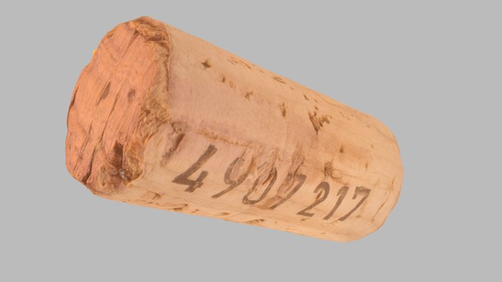 Cork stopper - wine bottle - low poly 3D Model