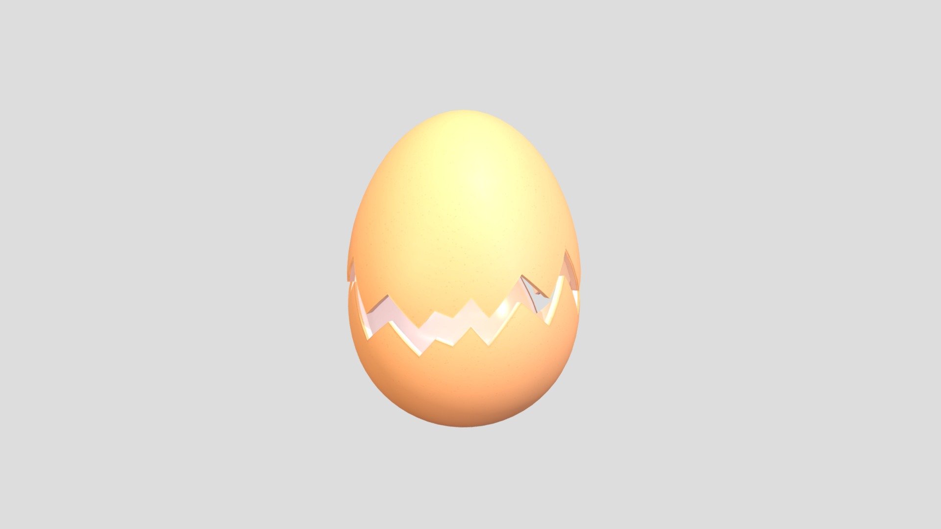 Egg Shell