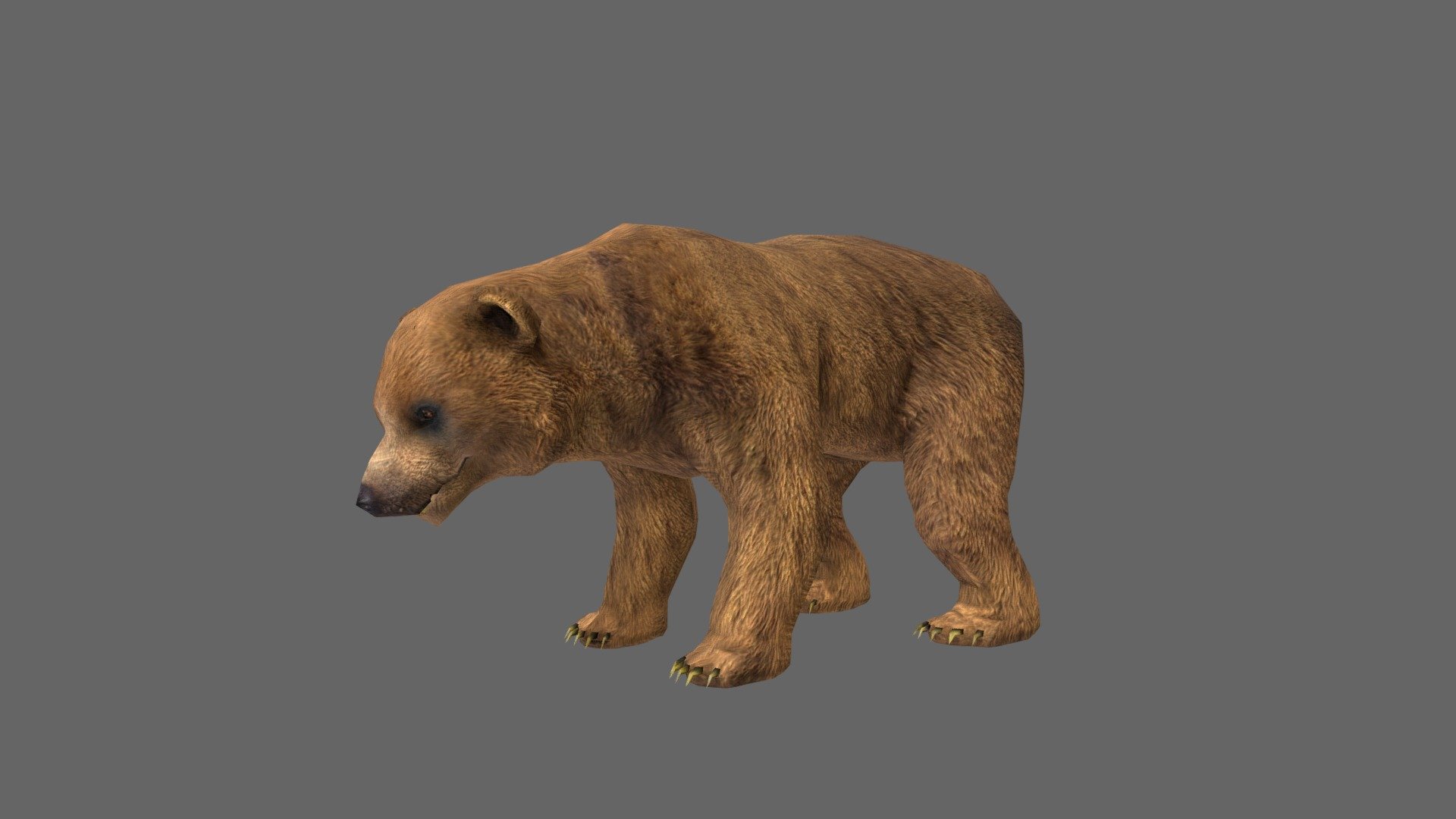 Bear - 3D model by josluat91 [280c934] - Sketchfab