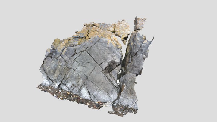Tralee_Bay_East_Limestone 3D Model