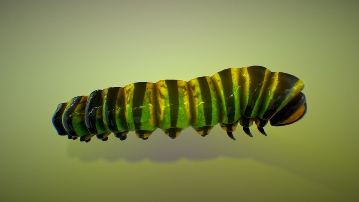 FREE Realistic Green Caterpillar