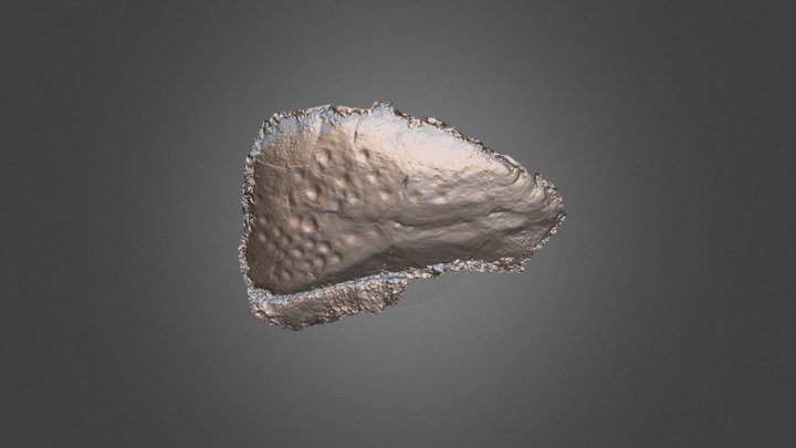 Stillaig 2 3D Model