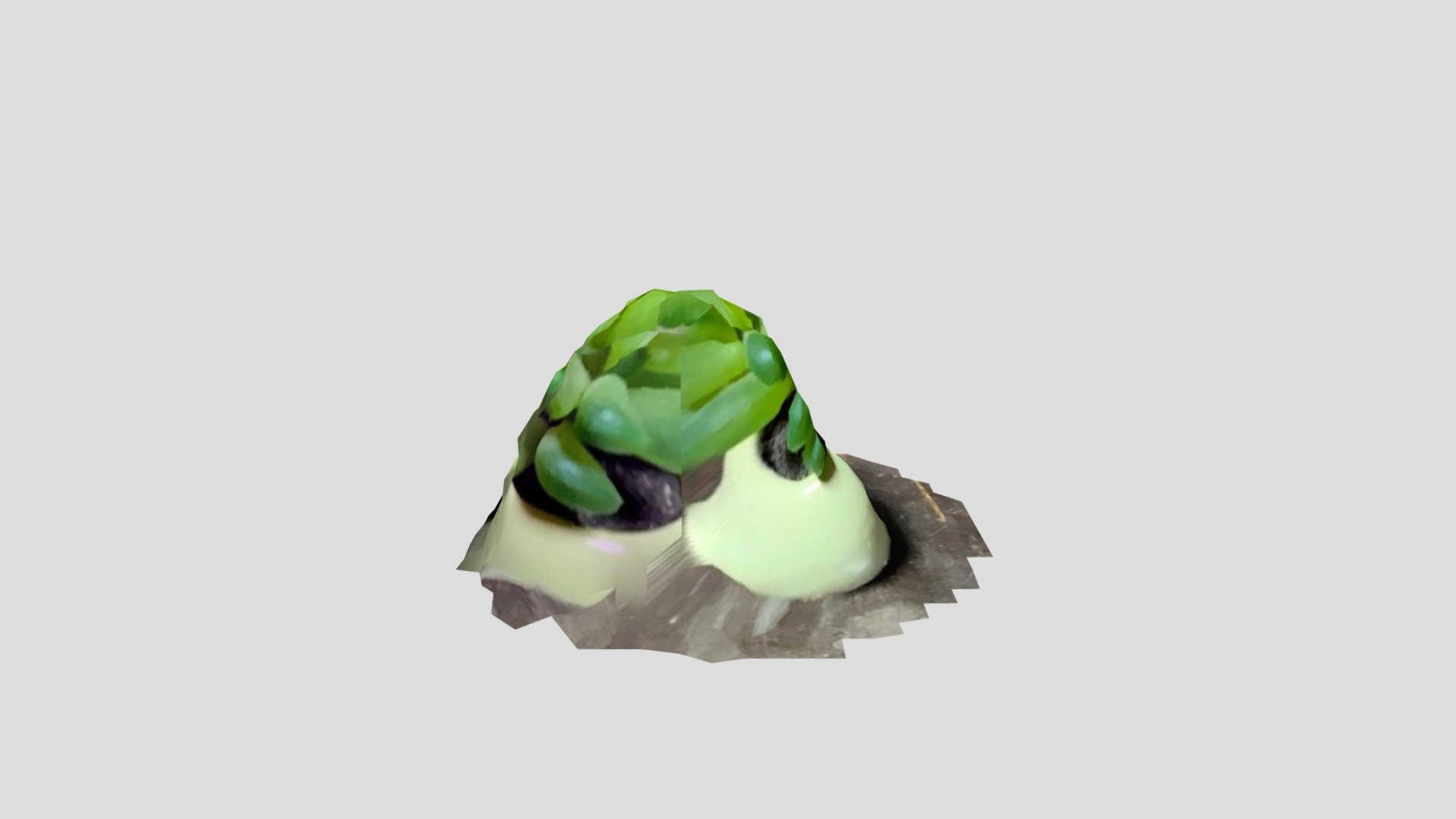 nature01