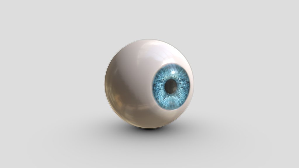 Anatomical Eye ball