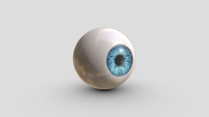 Anatomical Eye ball 3D Model