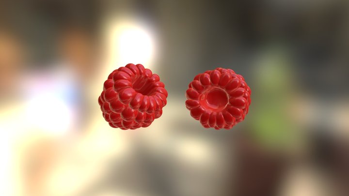 Raspberry Final2 3D Model