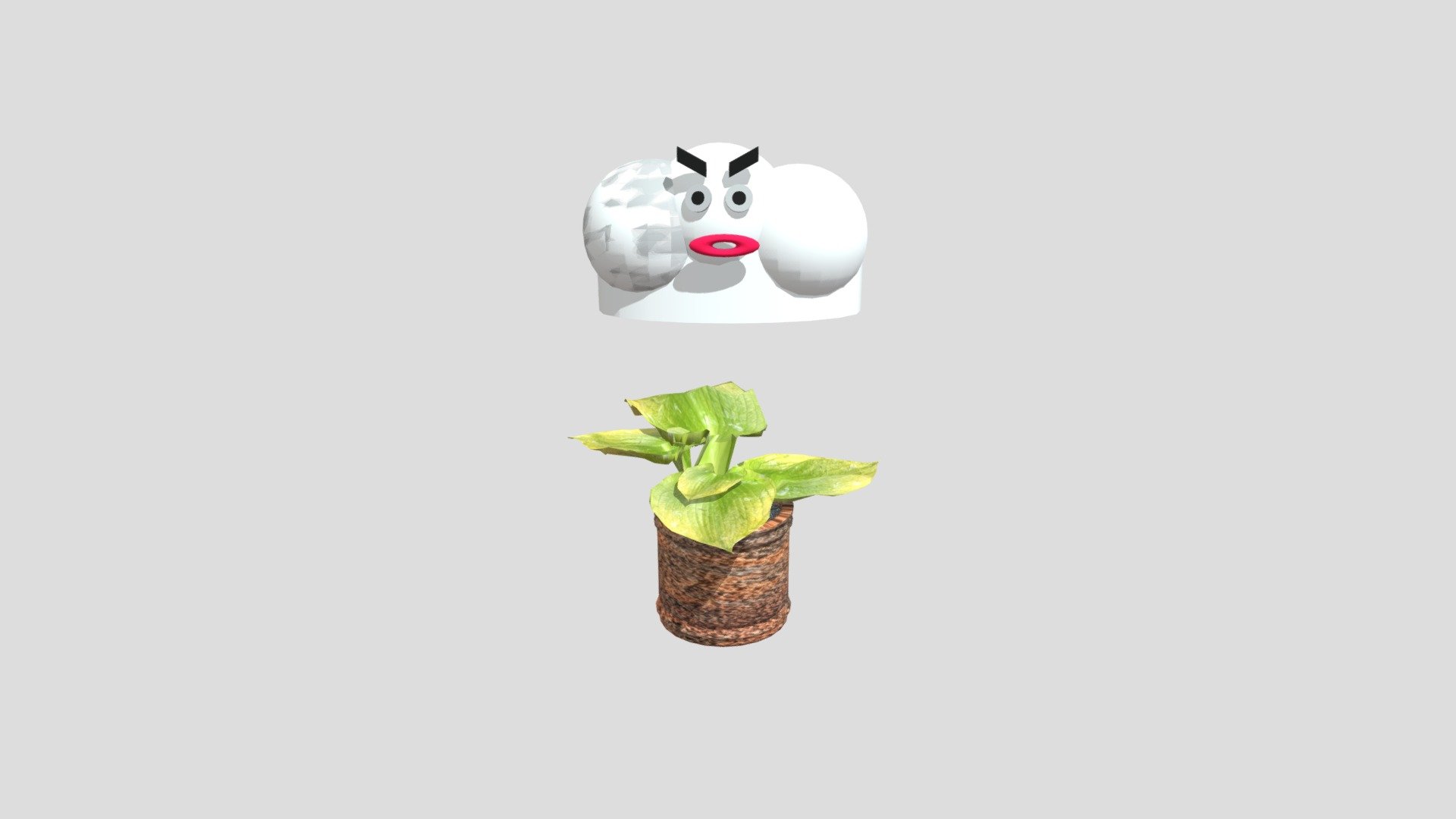Plant