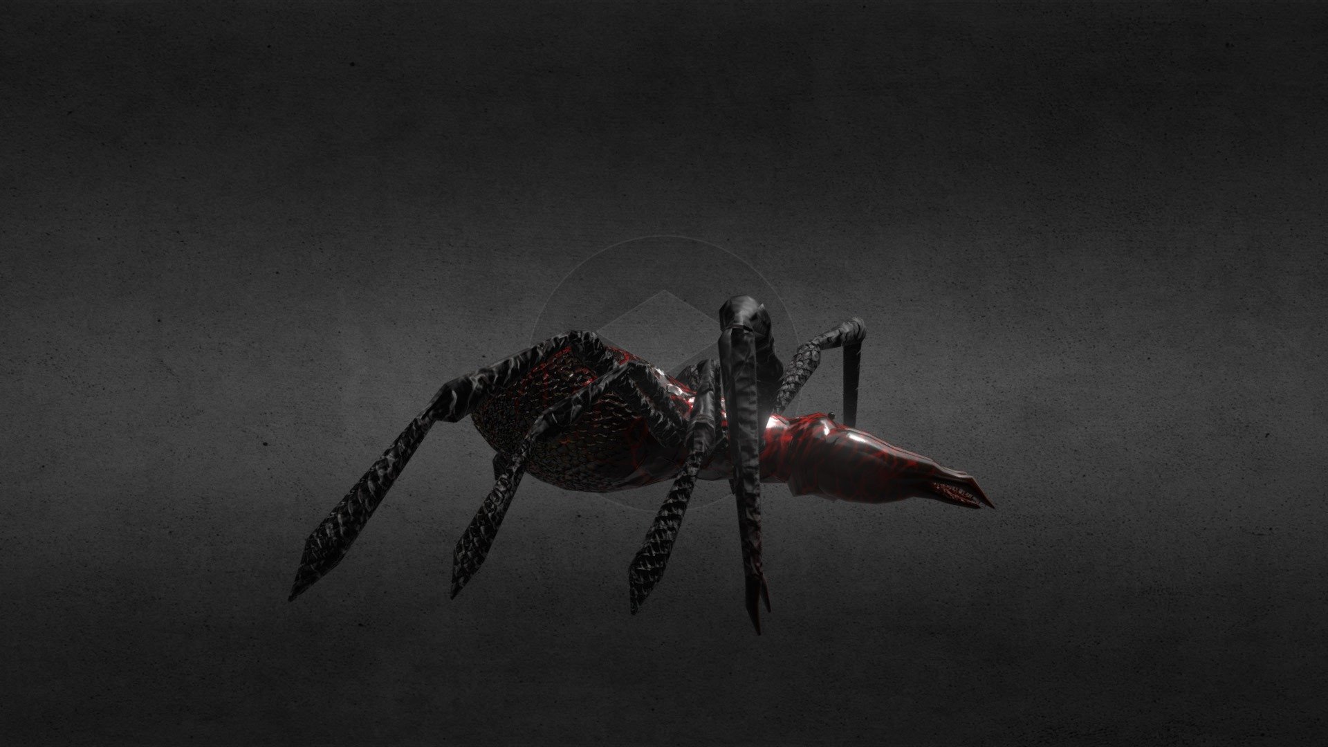 Camel Spider Death
