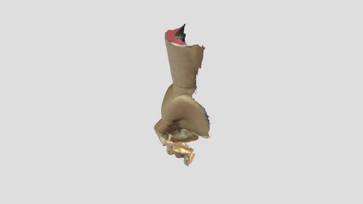 Attempt 1 3D Model