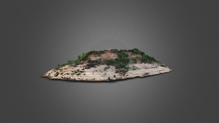 Ponta do Cavalo - Novo Airão/AM 3D Model