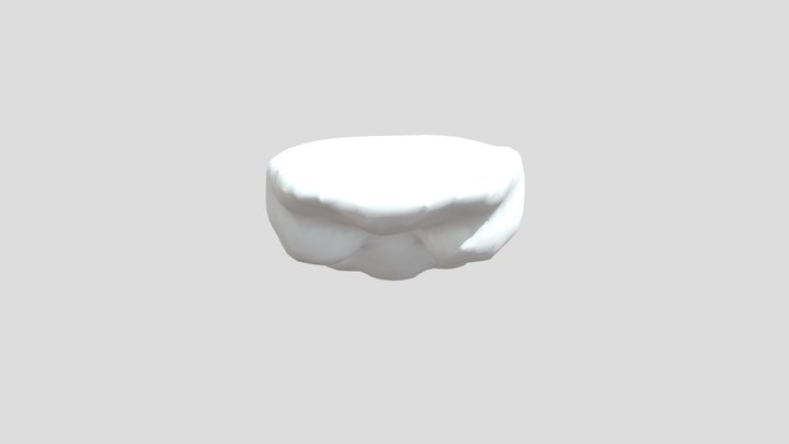 Human Brain Model - 3D Printable CT/MRI Scan