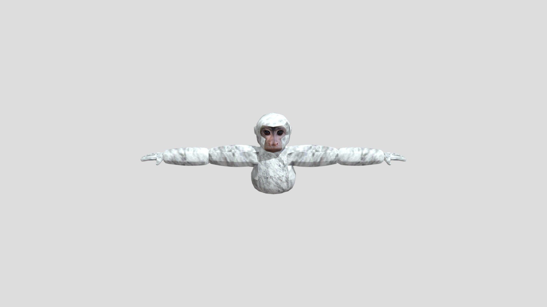 Cebus player model Download Free 3D model by Moe The Modeler And Cebus player model Download Free 3D model by Moe The Modeler And