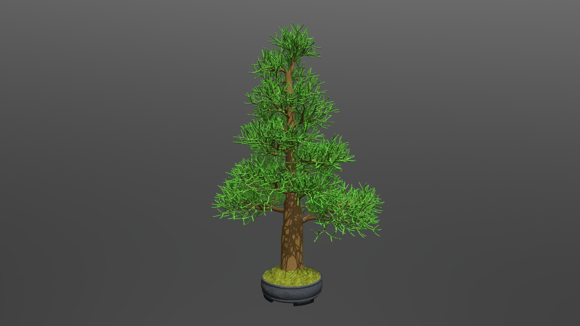 3D model Juniper bonsai - This is a 3D model of the Juniper bonsai. The 3D model is about a small tree in a pot.