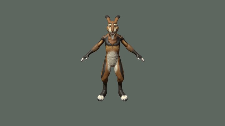 Run Forward 3D Model