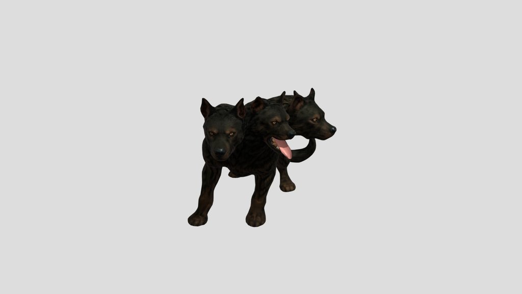 Midnight Cerberus