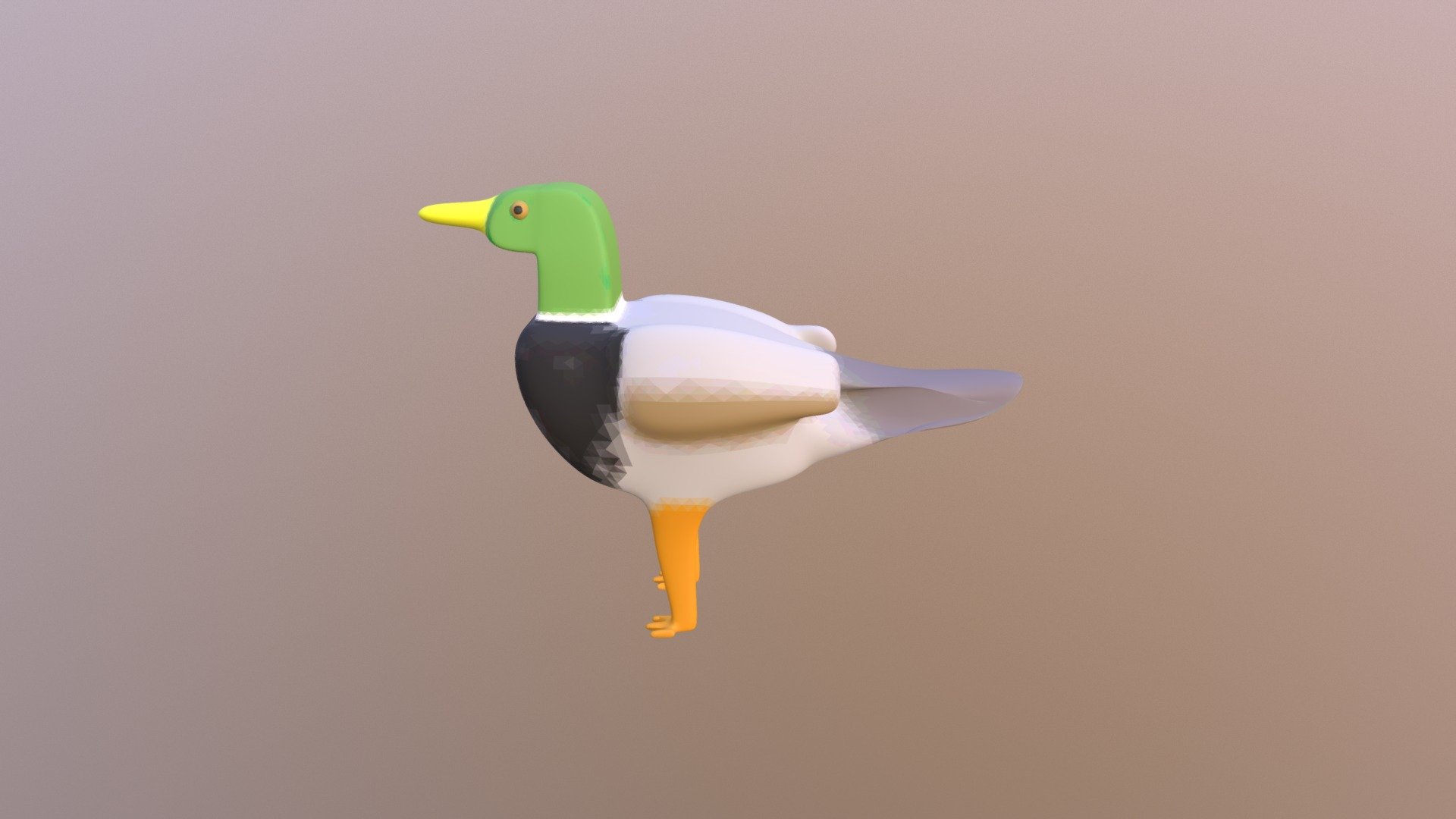 Duck Model
