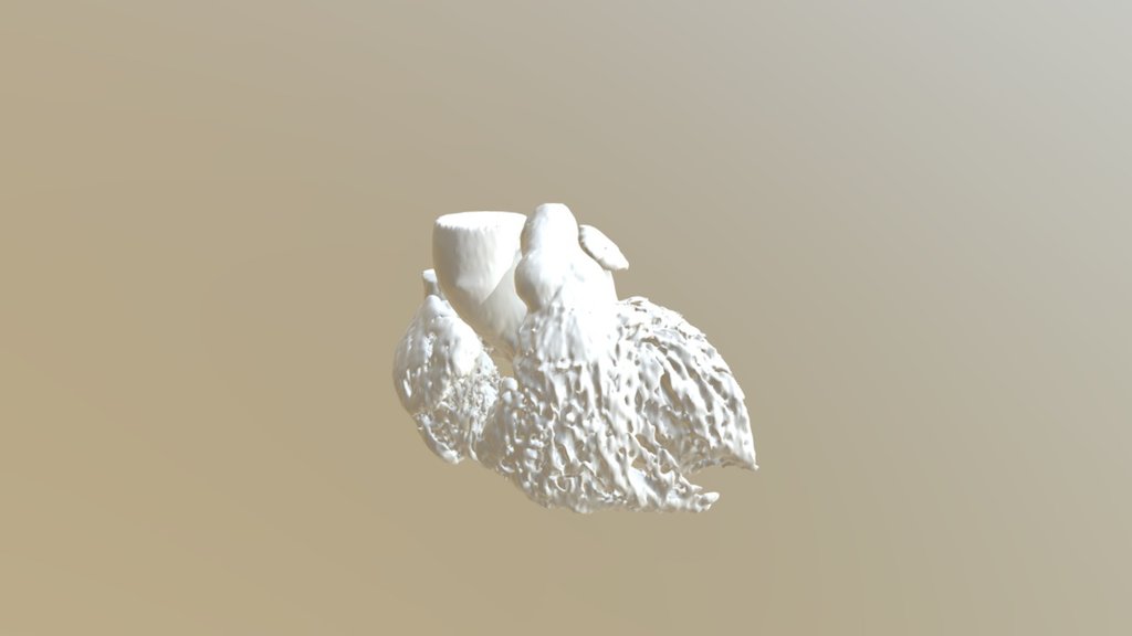 Model 21