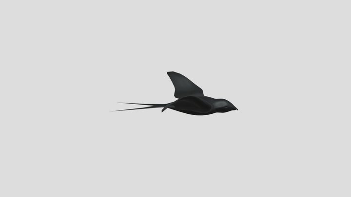 Bird 3D Model