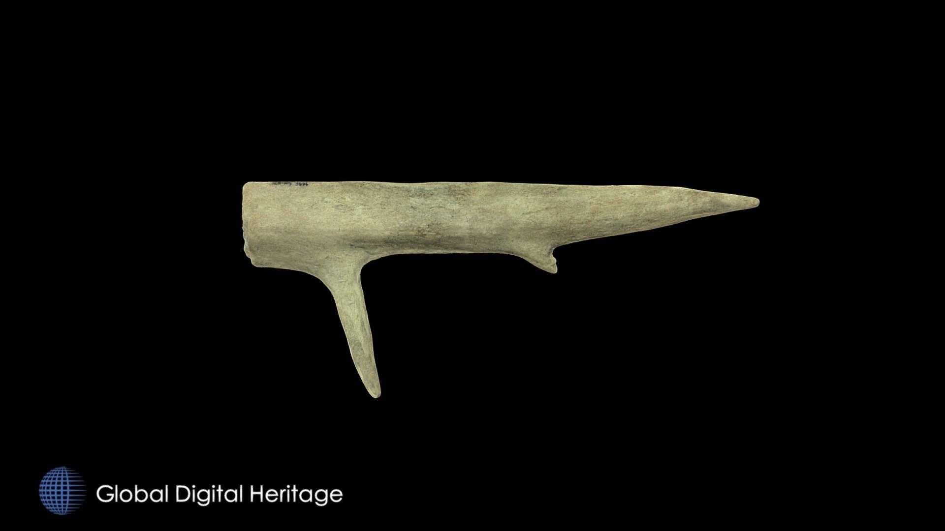 Cut and Modified Caribou Antler, XCB-105-3676