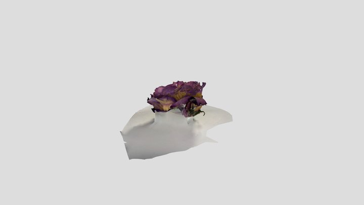 flowers 3D Model