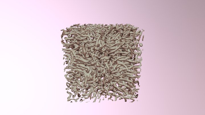 3D Simulation result of the Gray-Scott model 3D Model