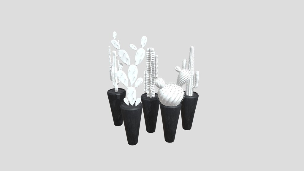 Sj Cactus Set 03