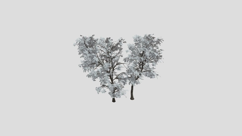 Broadleaf Dense Tree Pair