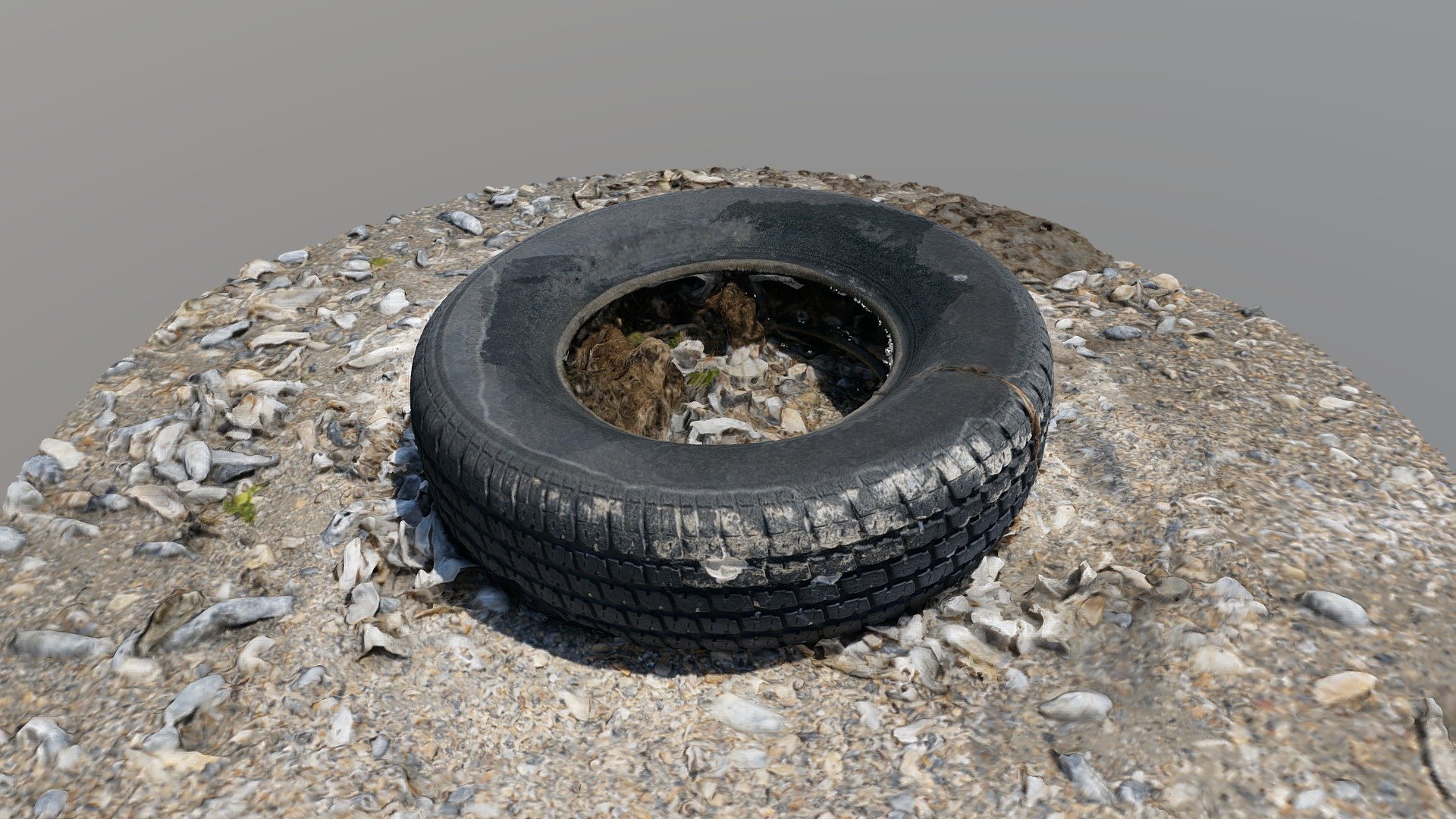 Tire on Oyster Beach