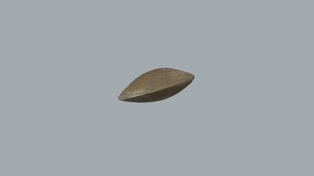 Clam (TREC)