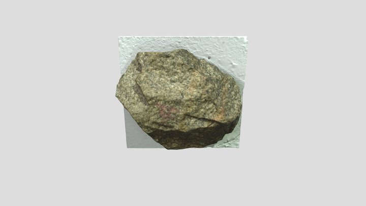 mesh 3D Model