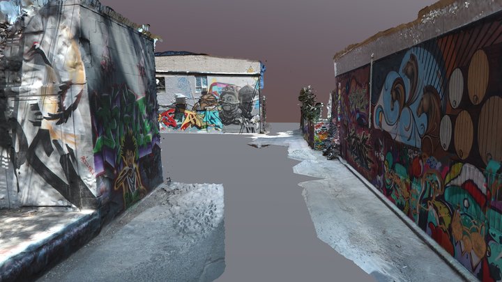 Toronto Graffiti Alley Aug 14 2020 3D Model